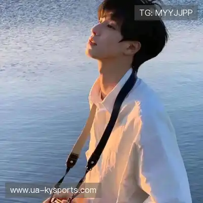 何鹰辉